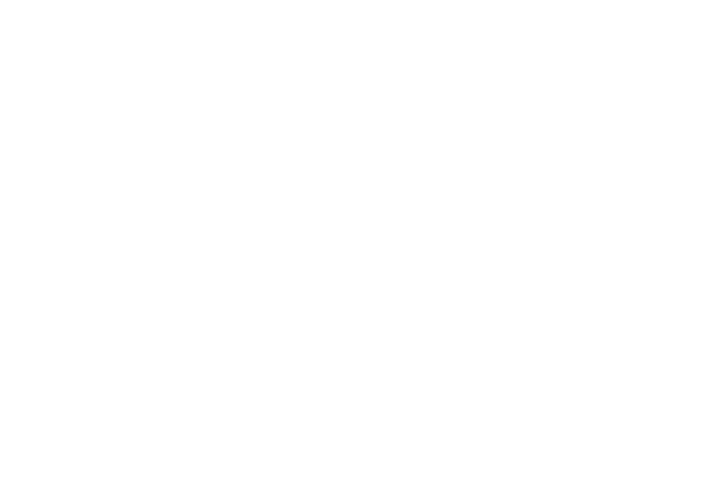 PPIB Logo White SM v1.png