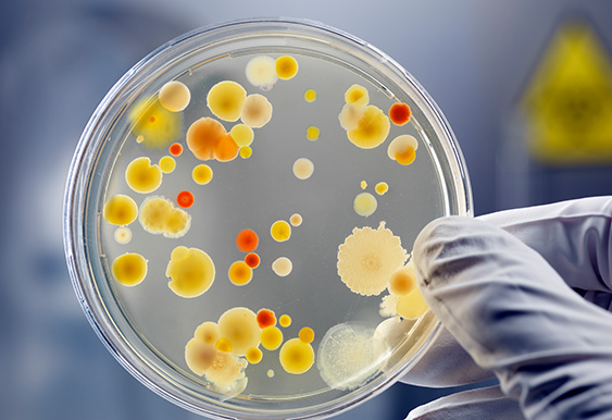 Sample being viewed holding gloves in a lab.jpg